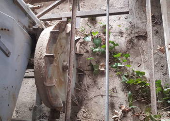 Sadzarka do ziemniaków s211 na pasach do podkiełkowanych