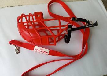 kaganiec i smycz gla greyhound