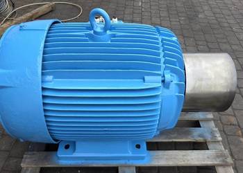 Silnik Elektryczny AEG 110 kW