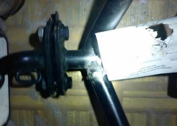 Polonez Hak borewicz i akwarium nooowy