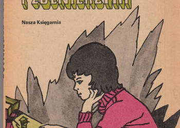 (02955) ŻOŁNIERZE I ŻOŁNIERKI – ANNA KAMIEŃSKA