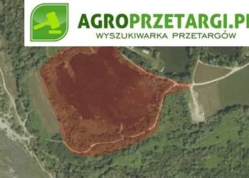 Dzierżawa 5,73 ha zbiornika wodnego