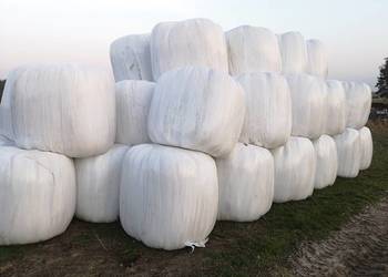 Sianokiszonka w belach, baloty