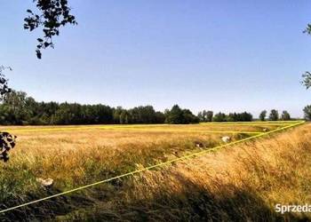 Działka nad morzem ruchome wydmy tanio