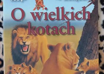 Edukacja Przyroda O wielkich kotach (seria Moja najlepsza książka)