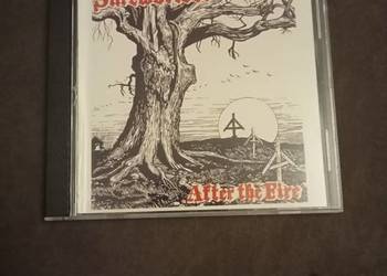 skrewdriver -after the fire-płyta cd.