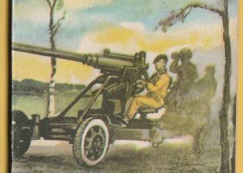 ŻÓŁTY TYGRYS - STARACHOWICKI WRZESIEŃ - 1986