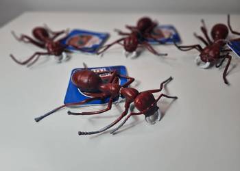 Insect toy mrówka 12cm