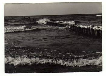 DŹWIRZYNO BAŁTYK CZARNO BIAŁA