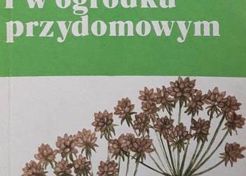 ZIOŁA NA DZIAŁCE I W OGRÓDKU PRZYDOMOWYM