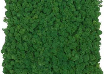 Panel z chrobotka PREMIUM Forest Green na wymiar