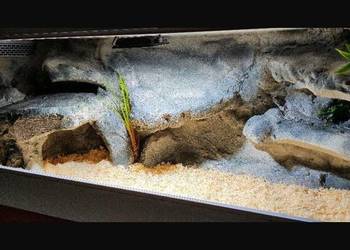 Terrarium profesjonalne dla gekona lamparciego żółwia greckiego