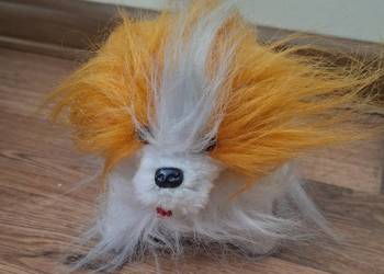 Maskotka, tańczący pies