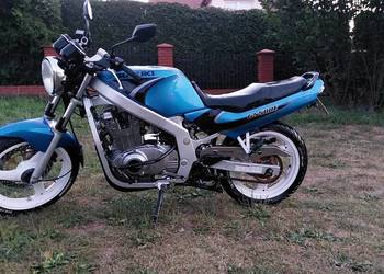Suzuki GS500E 2000r