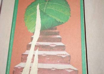 Wstęp do dorosłości - Andrzej Lucjan Jaczewski