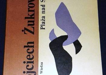 Plaża nad Styksem - Wojciech Żukrowski