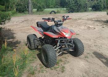 Bashan Nowy silnik 110 manual