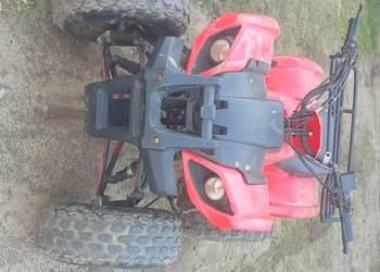 Quad 125 4t