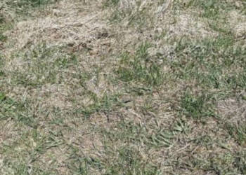 Grunt sprzedam 3100m2 Trzebiatów