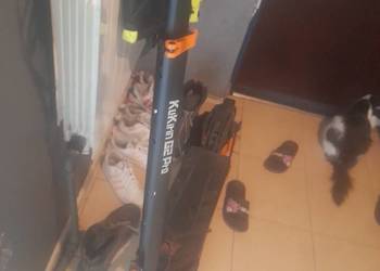 Hulajnoga kukurin g2pro zamiana