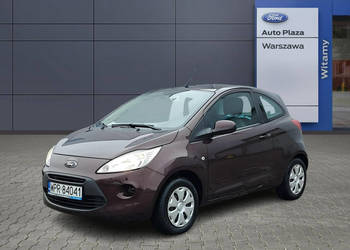 Ford KA Trend Plus 1.2 benzynowy 69 KM FE43257 II (2008-)