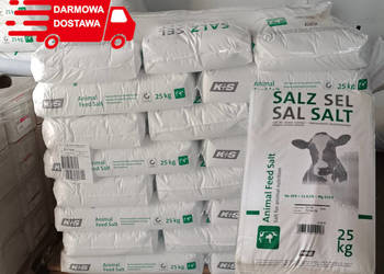 Sól paszowa paleta 40 worków po 25kg z dostawą