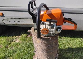 Piła spalinowa stihl ms250