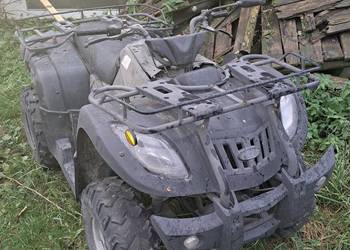 Bashan 250 Bashan 250