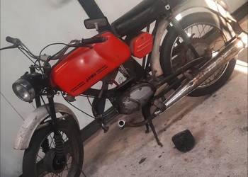 Jawa mustang