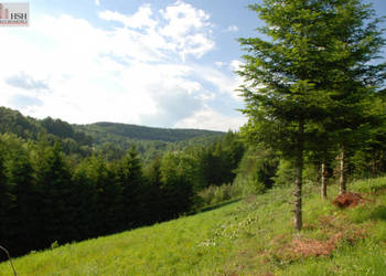 Do sprzedaży działka 14000m2 Żarnówka