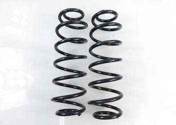 SPRĘŻYNY TYŁ VW GOLF IV 1.6 2120080