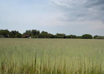 Sprzedam działkę budowlaną 1760m, Kownaty, gm. Płońsk ,WZ i Media , 45 min…