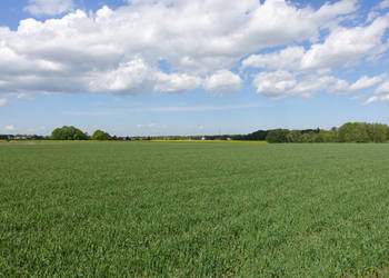 Skoczów Pruchna 1,15ha pod stadnine zabudowe lux lokalizacja