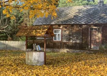 Stary drewniany dom do przeniesienia lub rozbiórki – deski, stare drewno