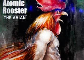 Klasyka hard rocka ATOMIC ROOSTER- The Avian.