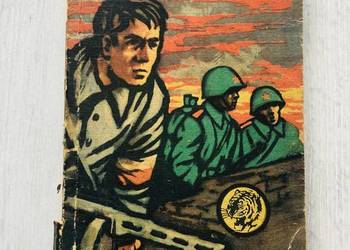 Cytadela Michał Haykowski seria Żółty tygrys historyczna