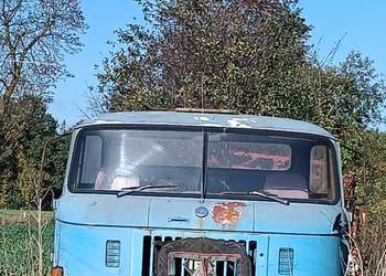 IFA w 50