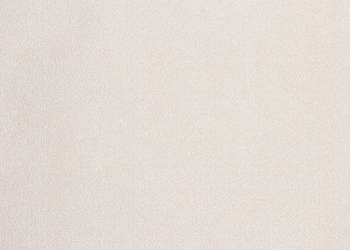 vidaXL Tapeta 3D, jednolita, beżowa, 10x0,53 m(SKU:353401)