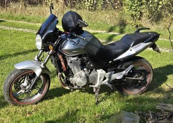 Honda cbf500