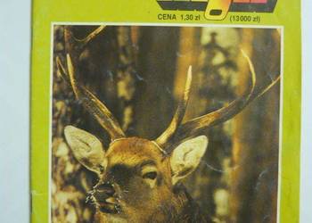 MAŁY GOŚĆ NIEDZIELNY 1995 NR 01