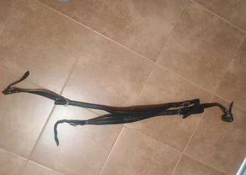 Akordenon -Pasy nosne