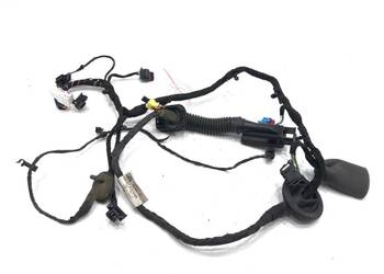 WIĄZKA DRZWI PRZÓD LEWA AUDI A8 D5 4N0971029AM 4.0 460KM PRZEWÓD