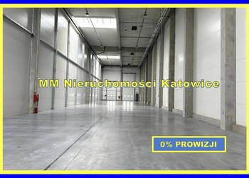 Hale wynajem Siemianowice Śląskie rampy brama poziom 0 socjal - 0% PROWIZJ…