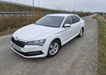 Skoda Superb Skoda Superb 1,6 TDI, DSG 7, 2019r Liftback