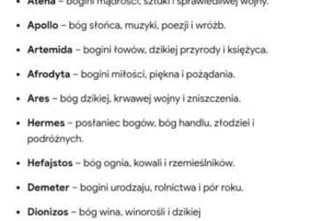 Rolki rozm 40