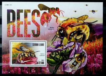Sierra Leone ( pszczoły )