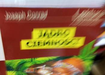 Jądro ciemności Conrad lektury szkolne antykwariat książki