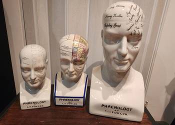 Głowy medyczne Phrenology/Frenologia