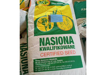 Nasiona NUTRI HONEY Mieszaniec Sorgo Z Trawą Sudańską worek 25kg
