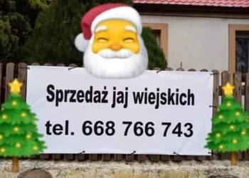 Sprzedam wiejskie jajka duże